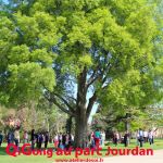 Qi Gong au Parc Jourdan