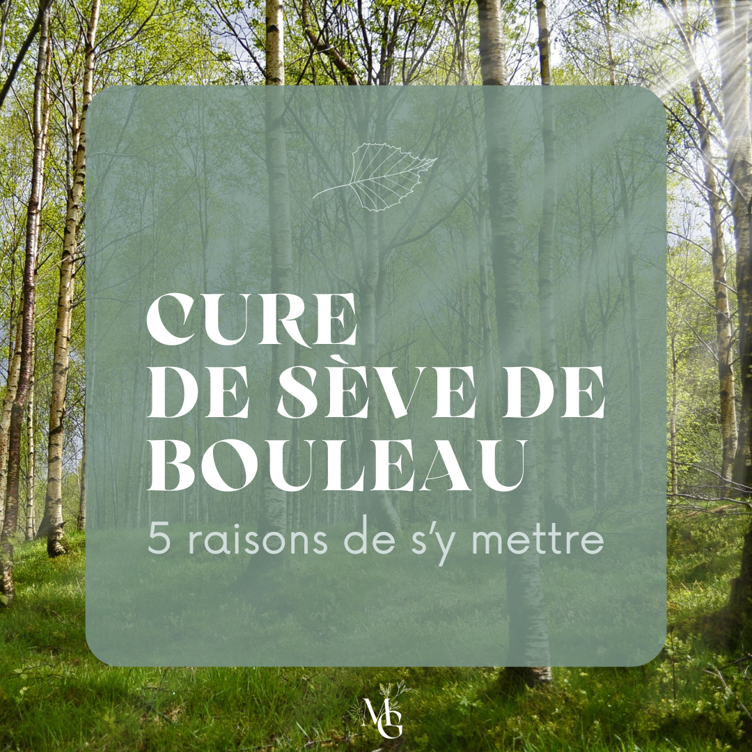 La cure de Sève de Boulot