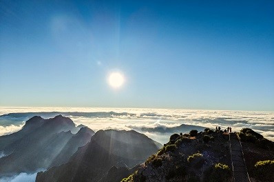 Comment vivre dans un monde en crise